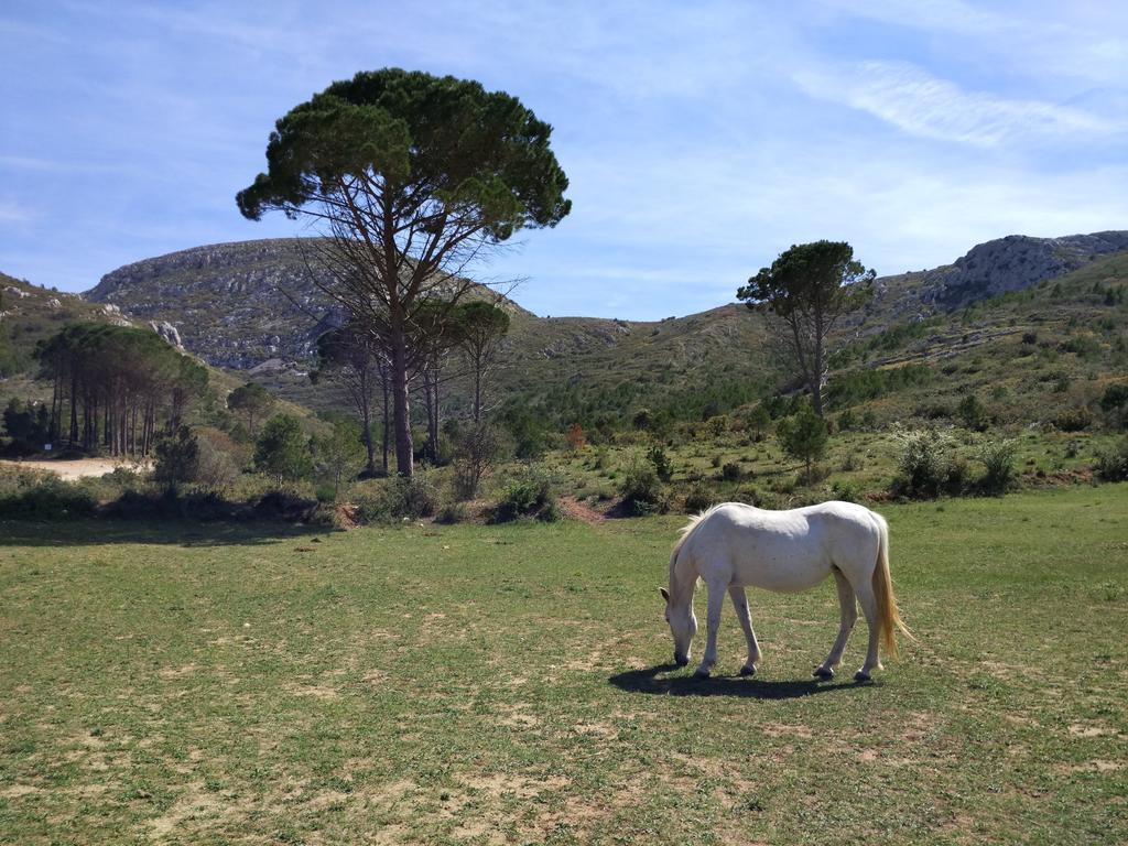 Apartamento Lliris Sol L'Estartit Exterior foto